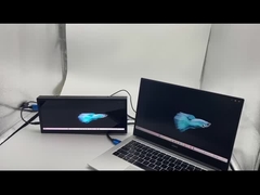 12.3 inch LCD module with local dimming